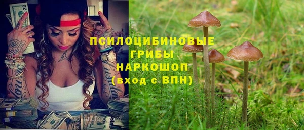 mdpv Алексин
