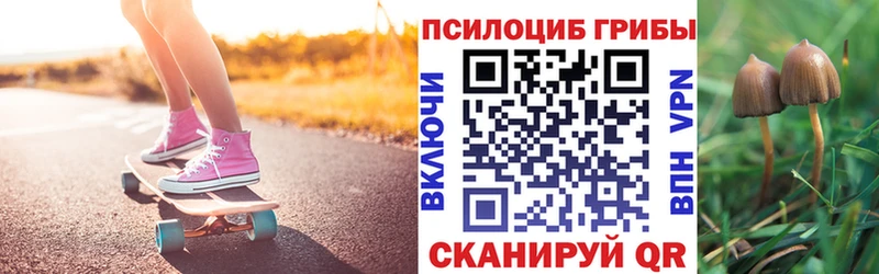 omg ТОР  Аргун  Псилоцибиновые грибы мицелий 